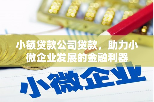 枣强小额贷款公司贷款，助力小微企业发展的金融利器
