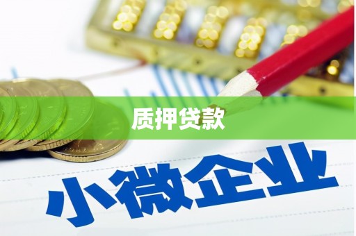 枣强质押贷款