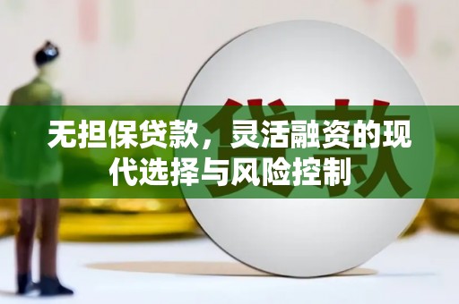枣强无担保贷款，灵活融资的现代选择与风险控制