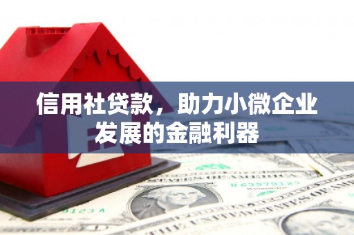 枣强信用社贷款，助力小微企业发展的金融利器