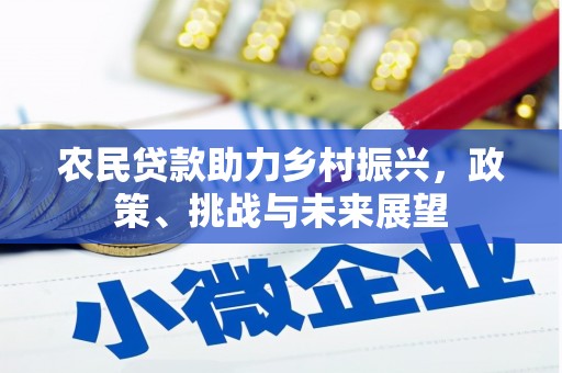 枣强农民贷款助力乡村振兴，政策、挑战与未来展望