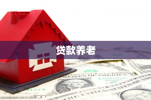 枣强贷款养老