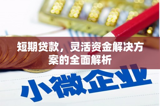 枣强短期贷款，灵活资金解决方案的全面解析