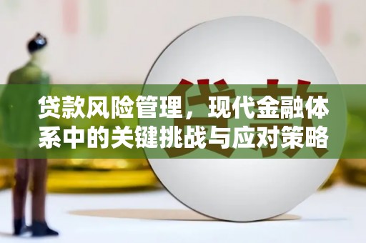 枣强贷款风险管理，现代金融体系中的关键挑战与应对策略